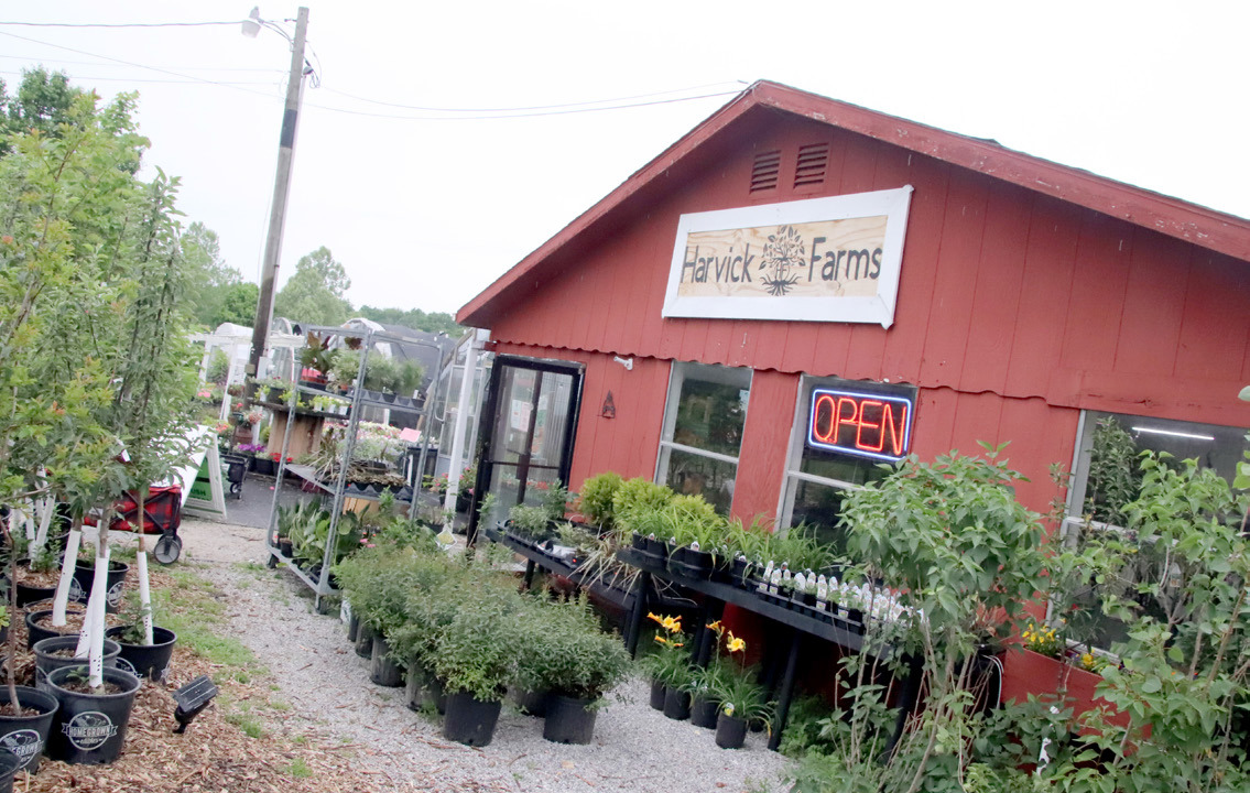Harvick Farms planted in Cassville - Cassville Democrat - Vimarsana News